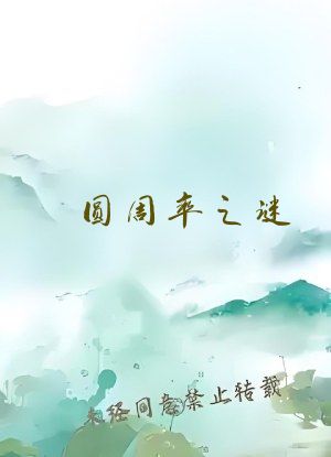 圆周率之谜