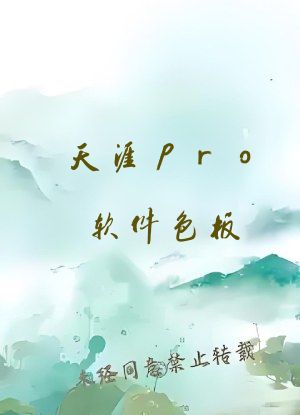 天涯pro软件色板
