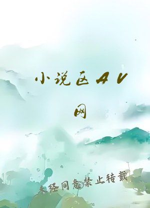 小说区AV网