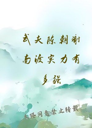 武夫陈朝谢南渡实力有多强